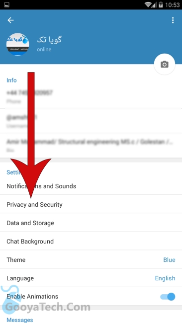 بخش Privacy and security تلگرام