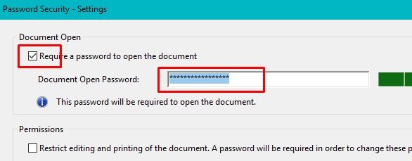گزینه Require a password to open the document