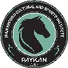 پیکان